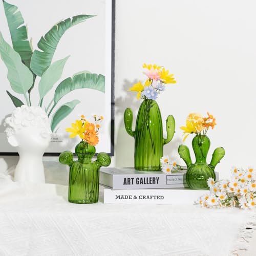 XXXFLOWER Cactus Plant Propagation Station 3 Cactus Vase Terrarium Jars | Desk Plant Cuttings Plant Holders Unique Glass Flower Vase for Hydroponics Plants for Plant Lovers Home Garden Decor - size: 3PCS Cactus Vase