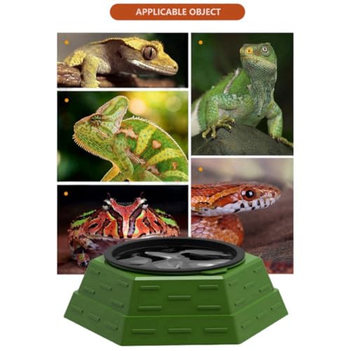 Reptile Food Bowl Plastic Water Feeder Bowls Anti- Escape Mini Round Reptile Feeder for Lizard, Gecko,Cricket, Leopard Gecko etc (Big) - size: big