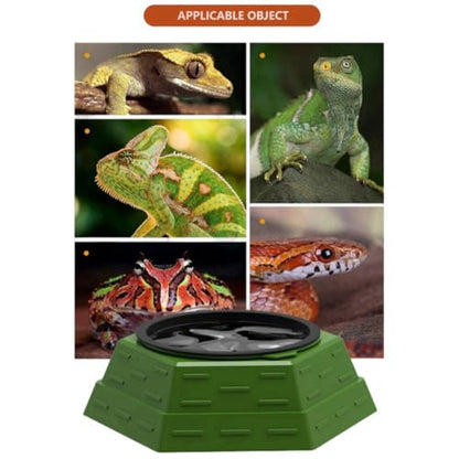 Reptile Food Bowl Plastic Water Feeder Bowls Anti- Escape Mini Round Reptile Feeder for Lizard, Gecko,Cricket, Leopard Gecko etc (Big) - size: big