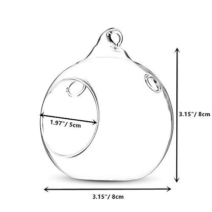 NUPTIO Hanging Glass Terrarium Globes with 2 Holes, 24 Pcs, 3.15 Inch | Clear Votive Orbs, for Air Plants, Tealights, Home or Garden Decor - size: 24 Pcs