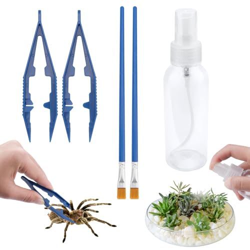 5-Piece Jumping Spider Care Kit with Spray Bottle, Tweezers and Brushes | Soft Scratch-Free Tools Simplify Feeding, Misting and Habitat Maintenance for Beginners and Small Arthropod Keepers