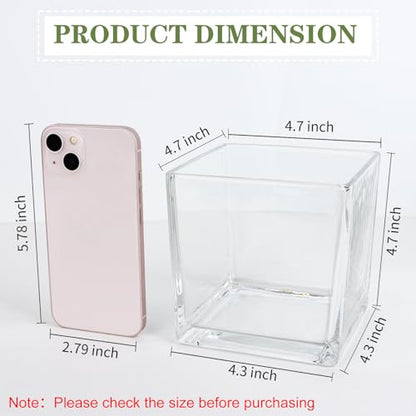 6 Pack Square Glass Vases 5" x5" x 5", Clear Flower Vases | Candle Holder for Centerpieces, Wedding Party Home Decor - size: 5inch