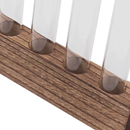 Pssopp Plant Propagation Station Glass Test Tube Plant Terrarium with Wooden Stand for Home Decor Office Living Room Garden (5 Tubes) - size: 5 Tubes