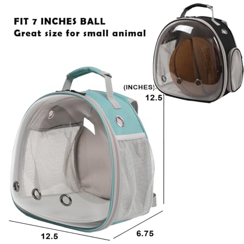 Bearded Dragon Travel Backpack with Harness and Leash Set,Lizard Backpack Travel Carrier,Space Capsule Clear Bubble Window Astronaut Reptile Carrier Backpack, Airline Approved - color: Green