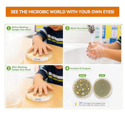 Kids Bacteria Handprint Kit - 2 Giant 150mm Prepoured Agar Petri Dishes | Fun STEM science kit with 2 giant sterile agar plates, magnifying glass & swabs for kids' handprint experiments. - color: Kids Bacteria Handprint Kit