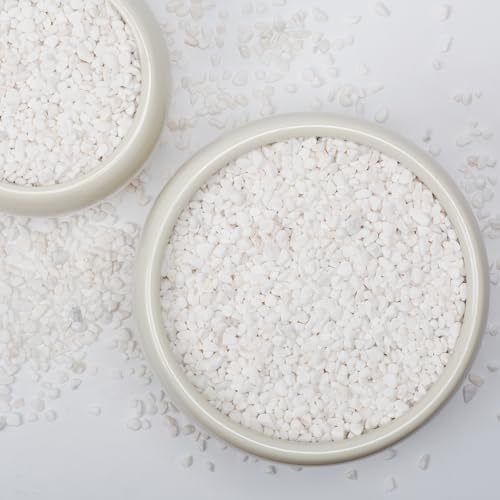 5lbs Natural Gravel Pebbles for Succulents and Cacti, 1/5 Inch Decorative River Stones – Perfect for Vases, Aquariums, Terrariums, and Outdoor Gardening, Mixed Colors (White, 20 Pounds) - color: White, size: 20 Pounds