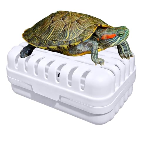 Turtle Accessories Terrarium Waste Collection Gear | Aquarium Waste Trap for Tortoise Reptile Terrapin Home Office Apartment Dormitory Living Room Vacation - color: White