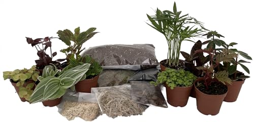 Hirt's Terrarium Kit with 10 Terrarium Plants in 2" Pots