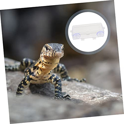 Beavorty 1pc Lizard Feeding Bowl Suction Cup Reptile Feeder Reptiles Reptile Water Bowl Reptile Gecko Feeder Dish Bowl Worm Dish Reptile Bowl Terraium Bowl Gecko Drink Acrylic Suction Basin