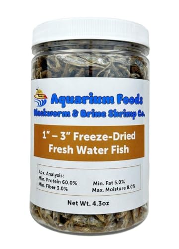 Freeze Dried 1"- 3" Fresh Water Fish for Piranhas Large Fish, Land and Aquatic Turtles, Rodents, Reptiles, Lizards, Cat Treats & More…4.3oz Lg Round Jar - size: 4.3 Ounce (Pack of 1)