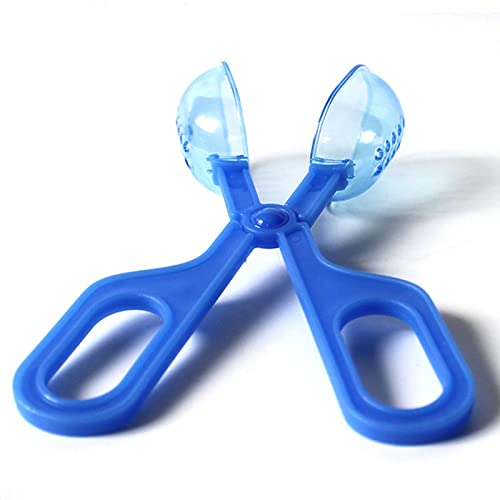 1PCS Reptile Feeding Blue Cleaning Tool Scooper Feeding Tool Amphibian Terrarium Spider Cricket Feeding Clamp Litter Clamp