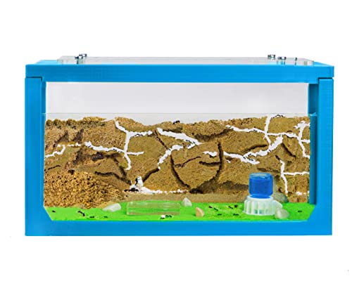 Anthouse.ES - 3D Aquarium-Style Natural Ant Farm - Sand Ant Farm - Complete Kit with Sand and Accessories - Starter Model 20x10x10 cm - Light Blue Color - color: Sky Blue