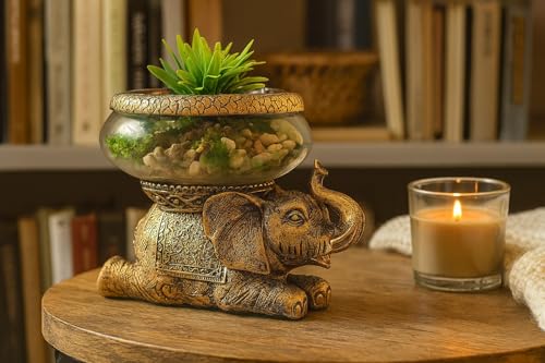 Good Luck Elephant Terrarium Bowl, Antique Gold | Elephant Figurine with Removable Glass Bowl, Succulent Planter, Candle Holder, Air Plant Display, Zen Home Décor Accent - color: Gold Antiqued Elephant Glass