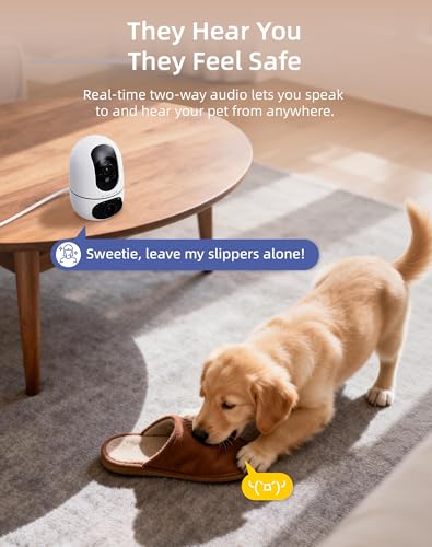 VIRTAVO AI Pet Camera Indoor with Phone App for Dog, Cat, Puppy, Dual-Lens | 360° Auto Tracking & Pet Calling, No Subscription, Wi-Fi 6 (5GHz/2.4GHz), Apple Watch & Alexa Compatible - size: XD1-PET-1PACK