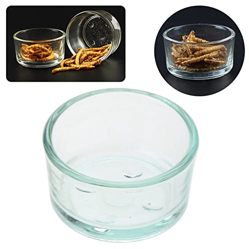 Feeder Dish Bowl Glass Water Feeder Bowl Anti-Escape Worm Container for Bearded Dragon Corn Snake Supplies Pet Supplies Pet Supplies Amphibians Supplies Pet Health