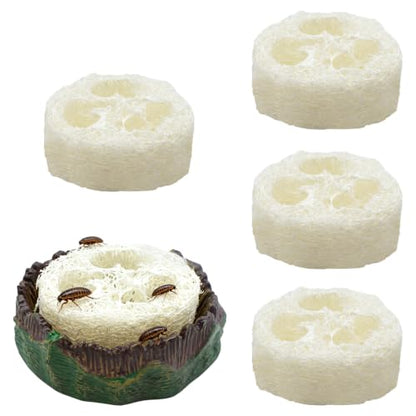 Cockroach Water Basin with 4 Loofah Set, Dubia Roach Water Dish, Dubia Roach Container for Roaches, Mealworms, Crickets, Isopods