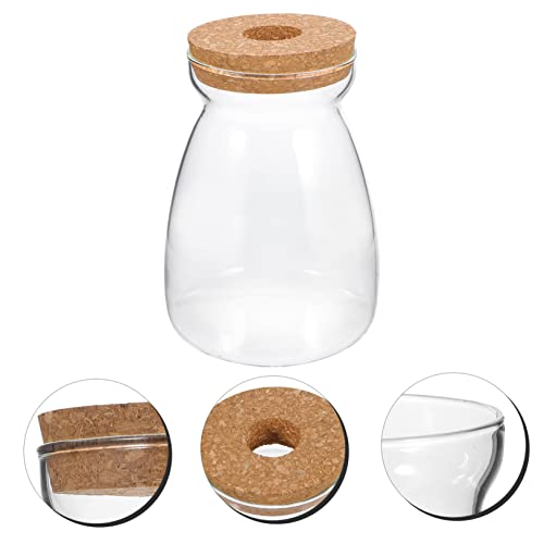 Glass Propagation Jar for Micro Landscape Display and Stable Holding | Viewing, Wood and Glass Build, Living Room Study Placement, Aquarium Gravel or Embellishment Use