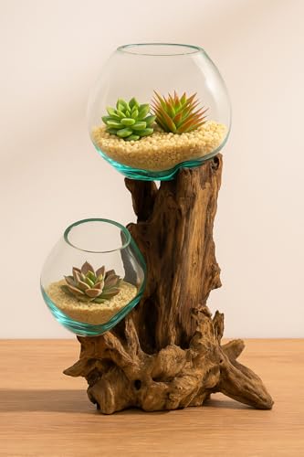 Cape Craftsmen 12" Hand-Blown Blue Tinted Bubble Glass On Natural Teak Driftwood Terrarium Kit | Home Décor Indoor Planter with Stand | Pot for Succulent and Plants - size: Large (With Stand)