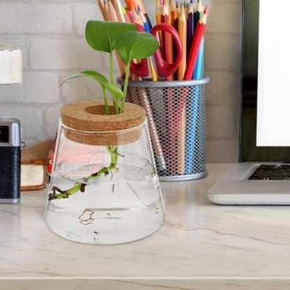 3pcs Glass Plant Propagation Station with Wood Lid, Desktop Hydroponic Vase for Flowers and Plants, Stylish Glass Terrarium for Office Desk or Corner, Ensures Clean Indoor