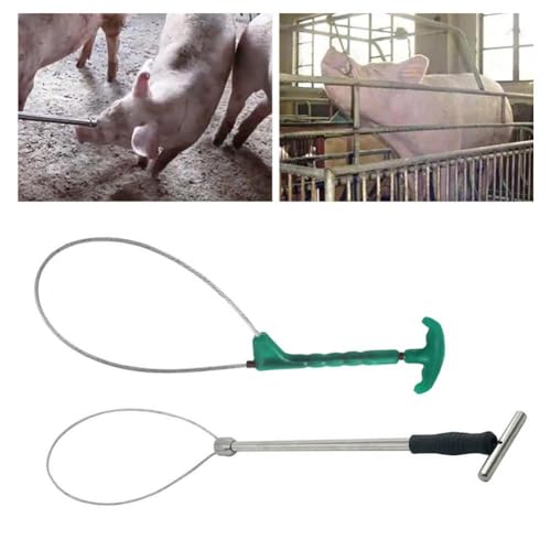 Pig Catcher Pole,Dog Catcher Pole,Animal Control Pole,Stainless Steel Pig Contro Holder,Dog Catch Rod Noose Holder Tool,for Dog Pig Swine Animals Livestock - color: Green Sliver