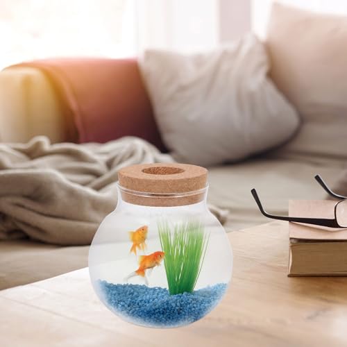 Glass Ecological Bottle with Lid for Fish Keeping and Moss Micro Landscaping Terrarium Home Decorative Glass Container for Small Aquatic Plants and DIY Ecosystems