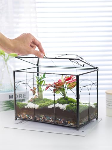 REDHUGO Glass Planter Terrarium with Lid, Indoor Display Box, Black | Handmade Glass Terrarium with Lid for Succulents, Cacti, Air Plants and Flowers, Ideal for Indoor Tabletop Display - color: Black