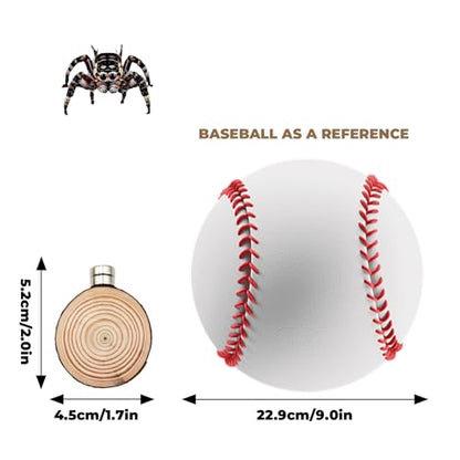 Jumping Spider Accessories, 4 Pack Wooden Ledges with Magnets, Natural Pine Spiders Ledges, Jumping Spider Enclosure Accessories, Magnetic Reptile Ledge - color: Natural Wood