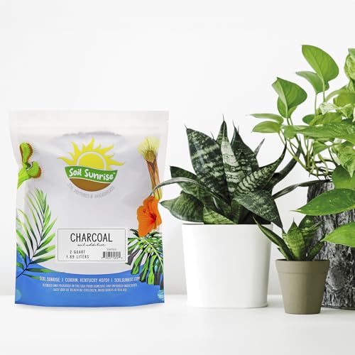Soil Sunrise Horticultural Charcoal for Indoor Plants (2 Quarts) Hardwood Soil Additive for Orchids, Terrariums, and Gardening - size: 2 Quarts