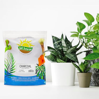 Soil Sunrise Horticultural Charcoal for Indoor Plants (2 Quarts) Hardwood Soil Additive for Orchids, Terrariums, and Gardening - size: 2 Quarts