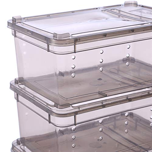 Breeding Box 5pcs, Reptile Dish Feeding Box Food Container with Lid Small (Transparent Black S)
