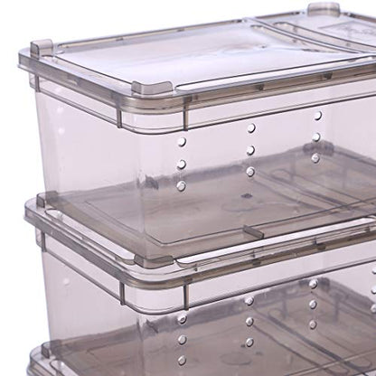 Breeding Box 5pcs, Reptile Dish Feeding Box Food Container with Lid Small (Transparent Black S)