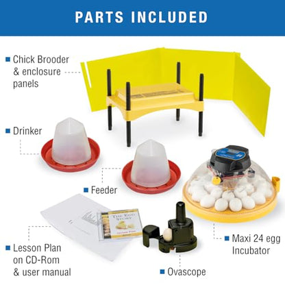 Brinsea Maxi 24 Advance Complete Classroom Egg Hatching Incubation Kit | Bring embryology to life! Includes incubator, all accessories & lesson plans teachers need for effortless classroom hatching - size: Classroom Kit, 24 Eggs