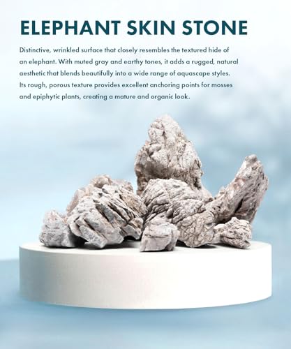 Natural Aquarium Stones - Light Brown with Gray, Dimples & Craters, Decorative Aquascaping Rocks, Epiphytic Plants, Shrimp, Betta Fish Tank & Reptile Enclosure - Elephant Skin, 20 LB - color: Elephant Skin, size: 20 Pounds
