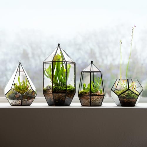 SuperMoss (90405) Glass Terrarium – Elegant Indoor Gardening Décor, Ideal Gifts for Plant Lovers, Modern Home & Office Decoration, 7.5” x 7.5” x 14”, Greenhouse
