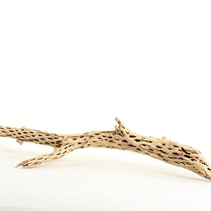 Koyal Wholesale 18-20" Cholla Wood Aquarium Leopard Gecko Tank Accessories Untreated Large Driftwood for Aquarium Wood Hermit Crab Accessories Drift Wood for Shrimp Tank Gecko Accessories - size: 18 / 20-Inch