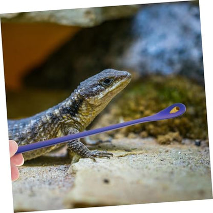 2pcs Reptile Food Spoon Stainless Steel Small Reptile Water Feeder Tortoise Food Scoop - color: Blue