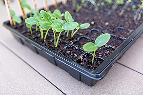 Gardzen 5 Pack Seed Starter Trays with Vented Domes 350 Cell | Smiling Face Plant Germination Kit with Humidity Domes and Bases, 18"x14" Tray for Starting Seeds - size: 70-Cell Black Eyes 5-Pack