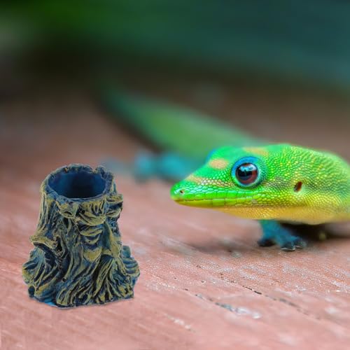 Homoyoyo 6pcs Escape-Proof Reptile Food and Water Bowls Terrarium Feeding Dish Set for Snakes Geckos Tortoises and Hermit Crabs Crawling Pet Feeder for Snake Tank Random Color
