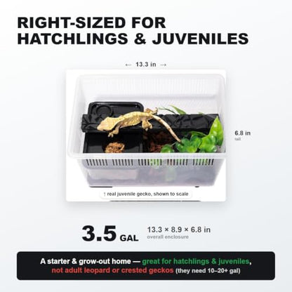 3.5 Gallon Reptile Terrarium Kit - Hatchling & Juvenile Gecko Tank with Humidity Hide, Ledge & Feeding Dish - for Baby Geckos, Dart Frogs, Jumping Spiders & Isopods