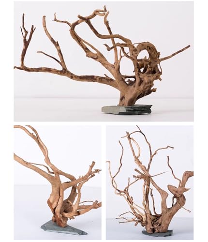 AWXZOM Natural Large Spider Wood Driftwood for Aquarium, Terrarium, Vivarium, and Reptile, Aquarium Décor, Reptile Tank, Aquarium décor Wood Aquascaping Wood for Reptile Enclosure (9-14inch)