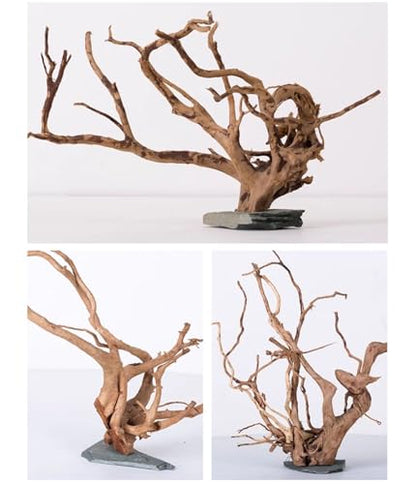 AWXZOM Natural Large Spider Wood Driftwood for Aquarium, Terrarium, Vivarium, and Reptile, Aquarium Décor, Reptile Tank, Aquarium décor Wood Aquascaping Wood for Reptile Enclosure (9-14inch)