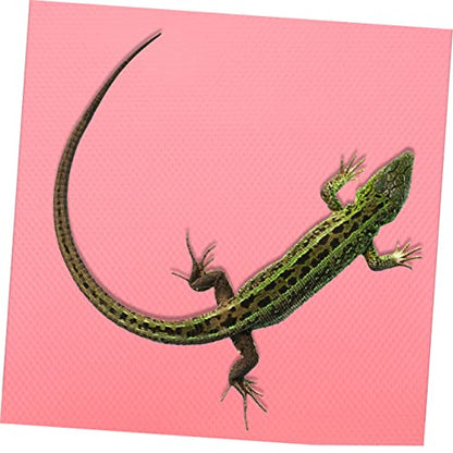 Reptile Carpet Substrate Mat for Leopard Gecko and Bearded Non-Adhesive Terrarium Liner Durable Snake Pad Reptile Cage Accessories and Supplies