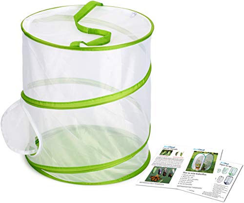 Insect and Butterfly Habitat Cage Terrarium Pop-up 12" x 14" Tall