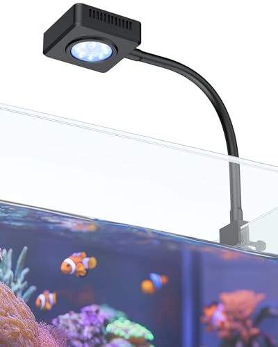 Pawfly 15 W LED Aquarium Light with Brilliant Blue White Red Lights for 1 to 10 Gallon Fish Tank - size: For 1 to 10 Gallon Fish Tank