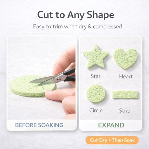Green Sponge Accessories for Hermit Crab Habitat, Moisture Supply for Maintaining Tank Humidity, 10PCS