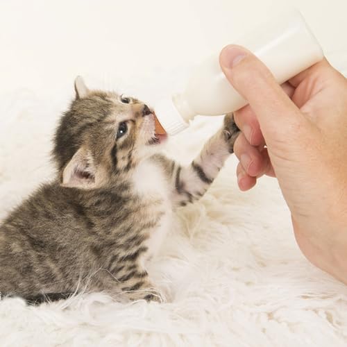 Suxgumoe Pet Feeding Bottle Set, Feeding Silicone Nipple with Bottle and Syringes, Reusable Pet Nursing Kits Feeding Tools for Rabbits, Small Animals (1 Bottle+3 Nipples+2 Syringes + 1 Measuring Cup) - color: 1 Bottle+3 Nipples+2 Syringes + 1 measuring cu