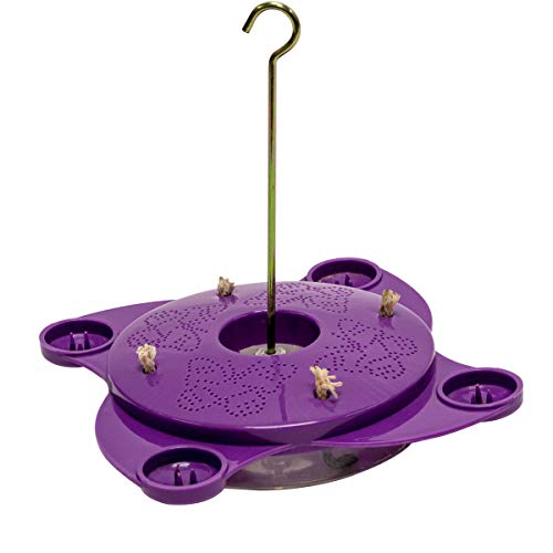 Breck's Purple Butterfly Feeder - Create a Haven for Butterflies in Your Backyard!