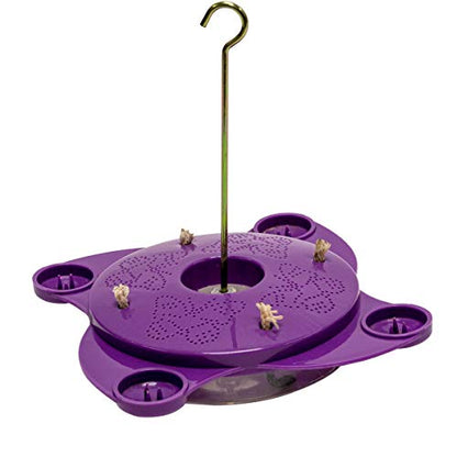 Breck's Purple Butterfly Feeder - Create a Haven for Butterflies in Your Backyard!