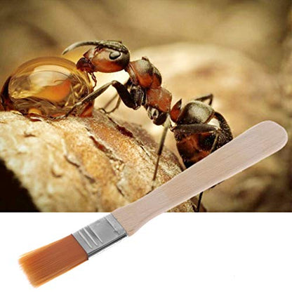 Feeding Box Cleaner Wood Brush Remover Sweeper for Reptiles Breeding for Case & Feeder