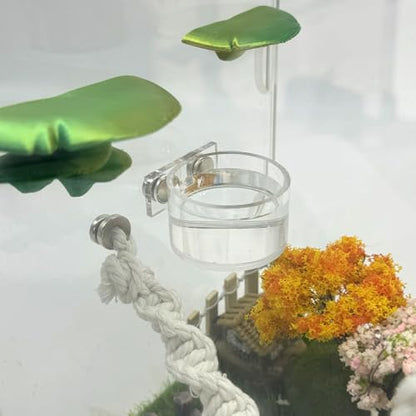 Jumping Spider Feeding Dish Set, Magnetic Water Bowl, Reptile Feeding Tongs, Jumping Spider Enclosure Accessories